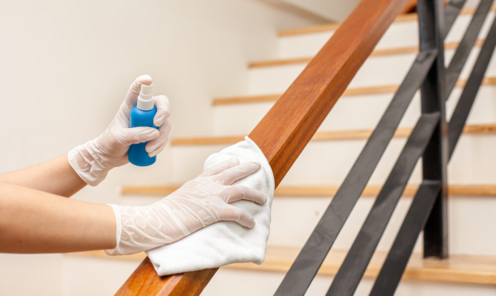Domestic Cleaning Company SEO Bedfordshire